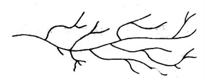 你知道HDPE、LDPE、LLDPE、UHMWPE它們的區(qū)別是什么嗎？